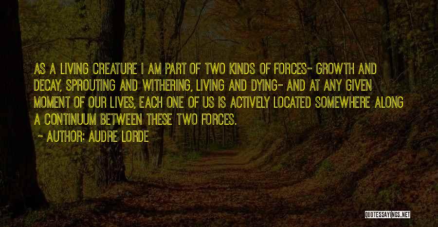 Withering Quotes By Audre Lorde