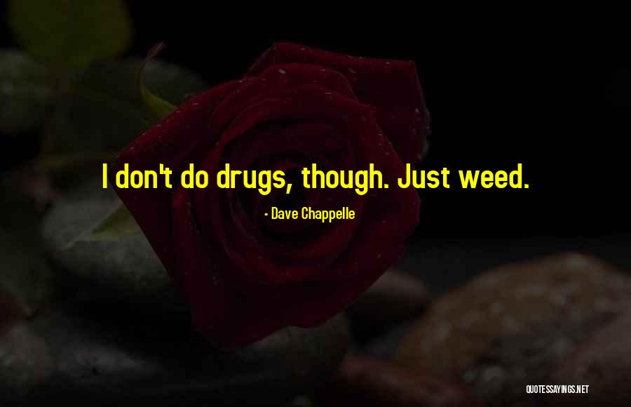 Witherley Kennels Quotes By Dave Chappelle Witherley Kennels Quotes By Dave Chappelle