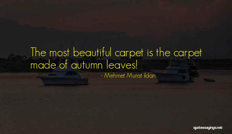Withershins In A Sentence Quotes By Mehmet Murat Ildan Withershins In A Sentence Quotes By Mehmet Murat Ildan