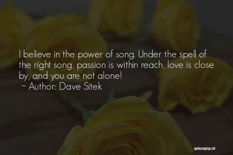 Within Reach Quotes By Dave Sitek