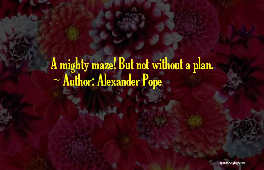 Without A Plan Quotes By Alexander Pope