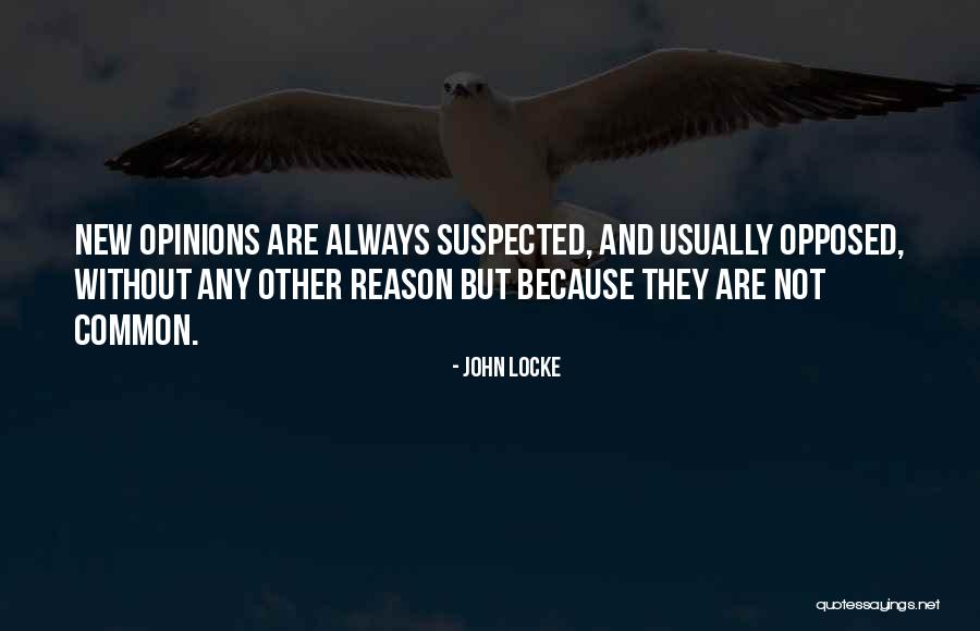 Without Any Reason Quotes By John Locke