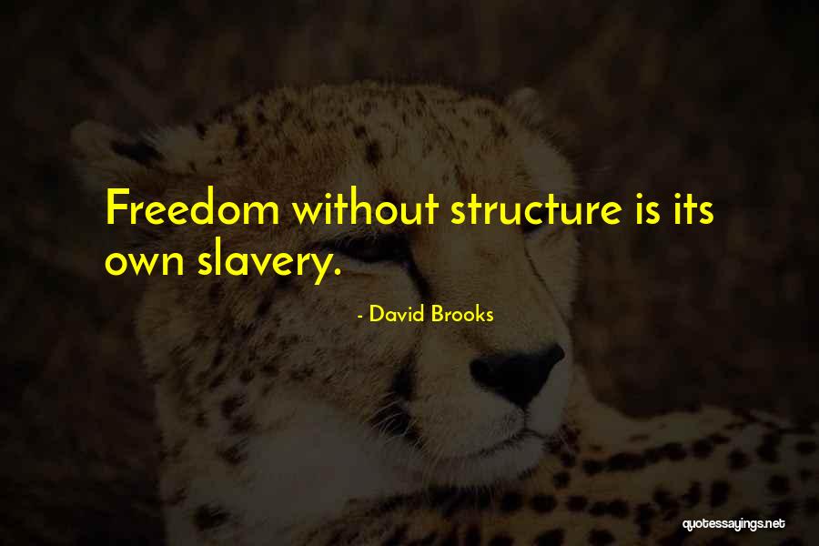 Without Discipline Quotes By David Brooks Without Discipline Quotes By David Brooks
