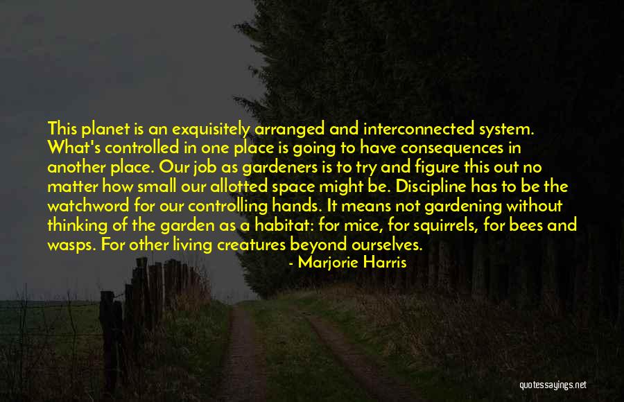 Without Discipline Quotes By Marjorie Harris Without Discipline Quotes By Marjorie Harris