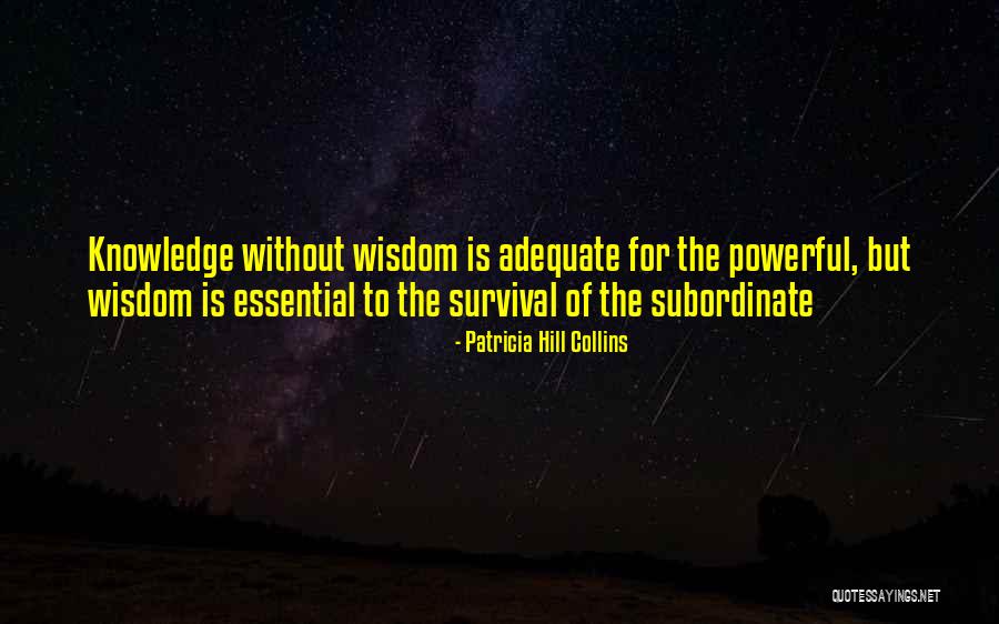 Without Knowledge Quotes By Patricia Hill Collins Without Knowledge Quotes By Patricia Hill Collins