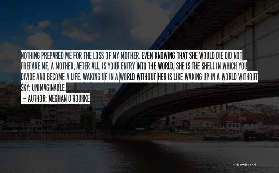Without Me Quotes By Meghan O'Rourke