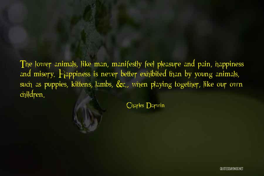 Without Pain There Is No Happiness Quotes By Charles Darwin Without Pain There Is No Happiness Quotes By Charles Darwin