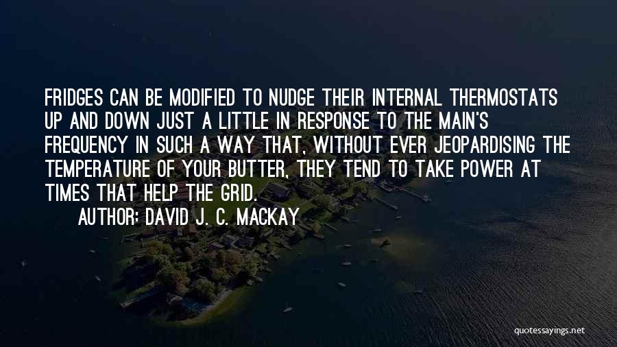 Without Your Help Quotes By David J. C. MacKay