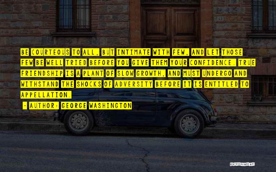 Withstand Adversity Quotes By George Washington