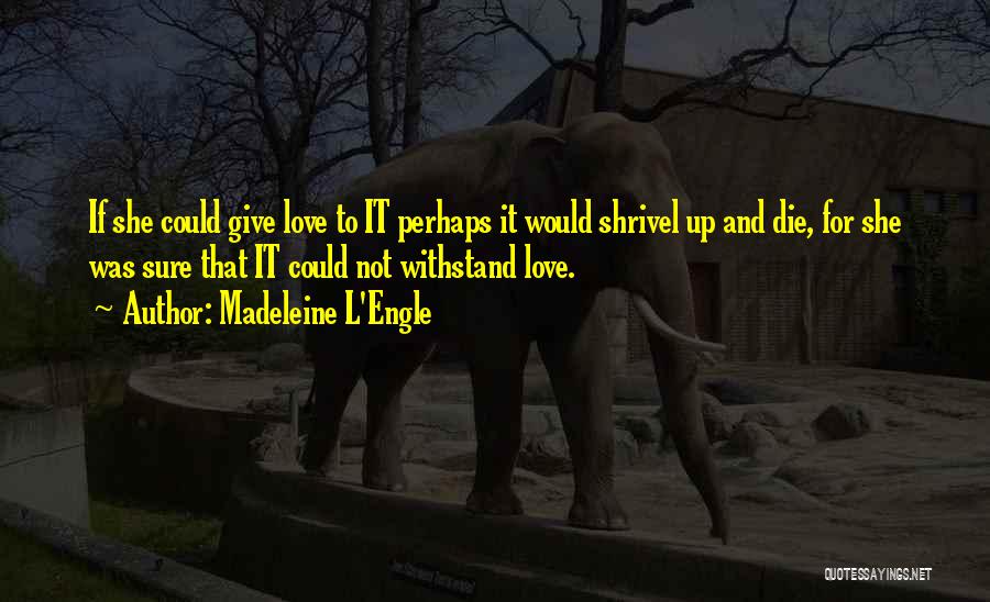 Withstand Quotes By Madeleine L'Engle