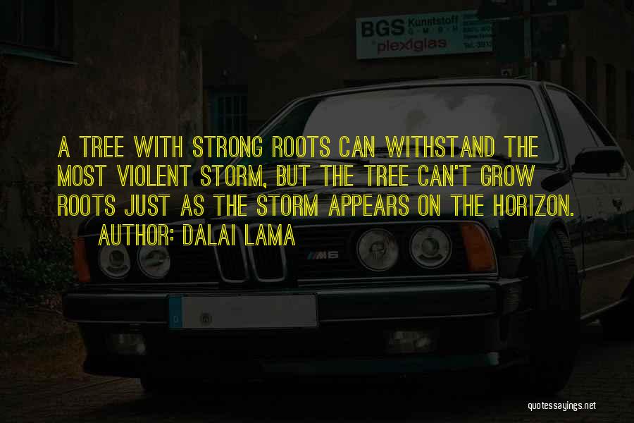 Withstand The Storm Quotes By Dalai Lama