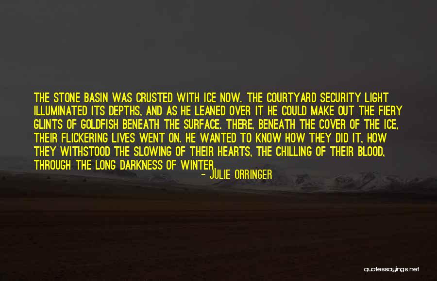 Withstood Quotes By Julie Orringer Withstood Quotes By Julie Orringer