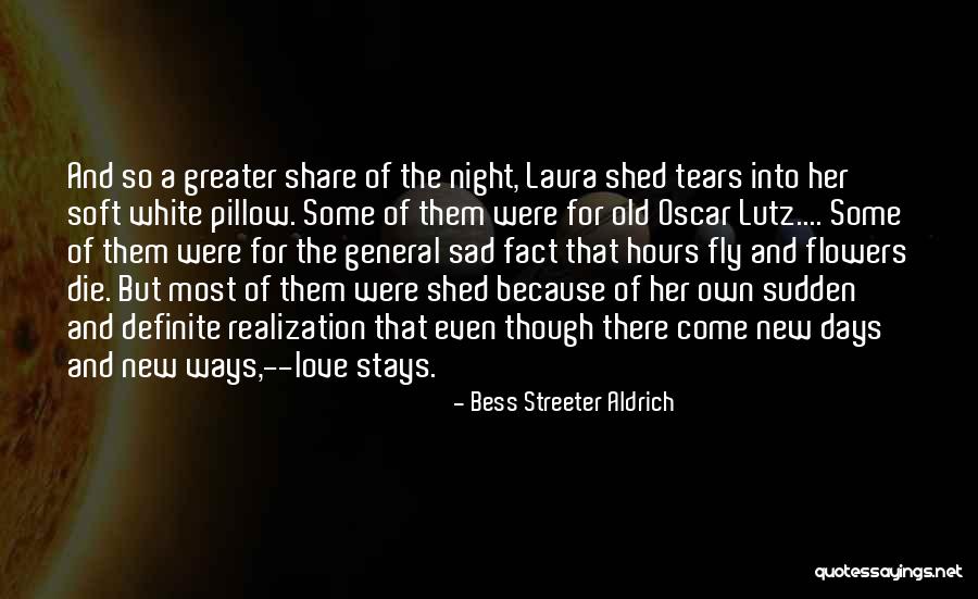 Witless Witness Quotes By Bess Streeter Aldrich Witless Witness Quotes By Bess Streeter Aldrich