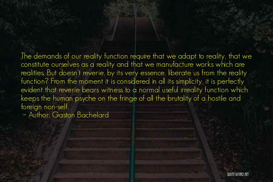Witness Quotes By Gaston Bachelard