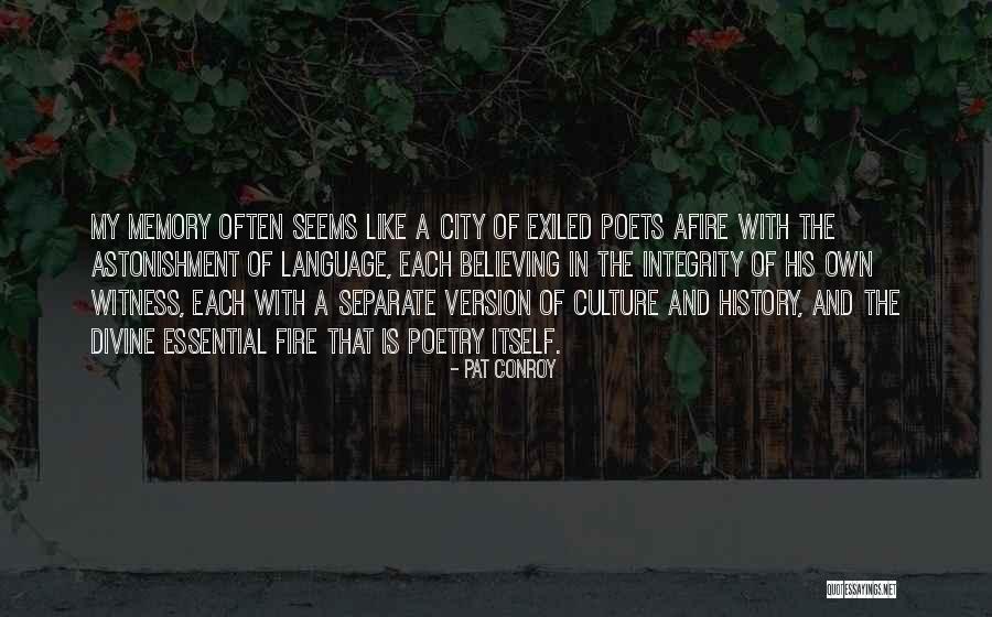 Witness Quotes By Pat Conroy