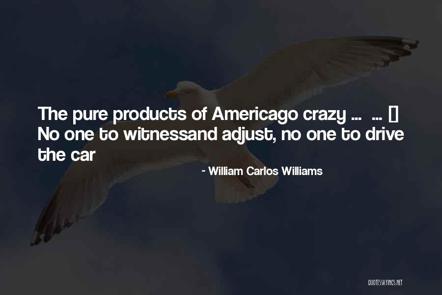 Witness Quotes By William Carlos Williams