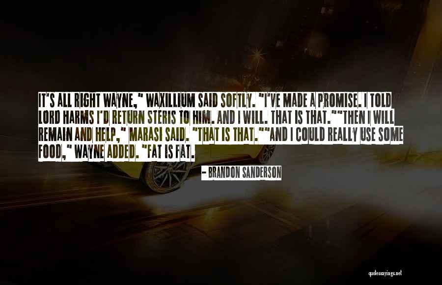 Witnessessed Quotes By Brandon Sanderson Witnessessed Quotes By Brandon Sanderson