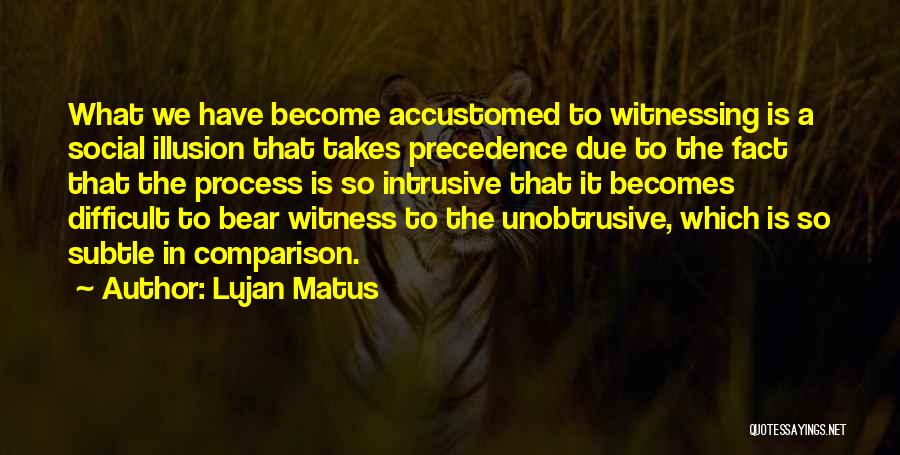 Witnessing Quotes By Lujan Matus