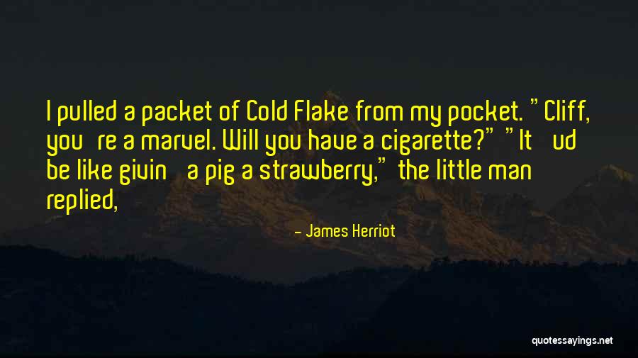 Wittie Quotes By James Herriot Wittie Quotes By James Herriot