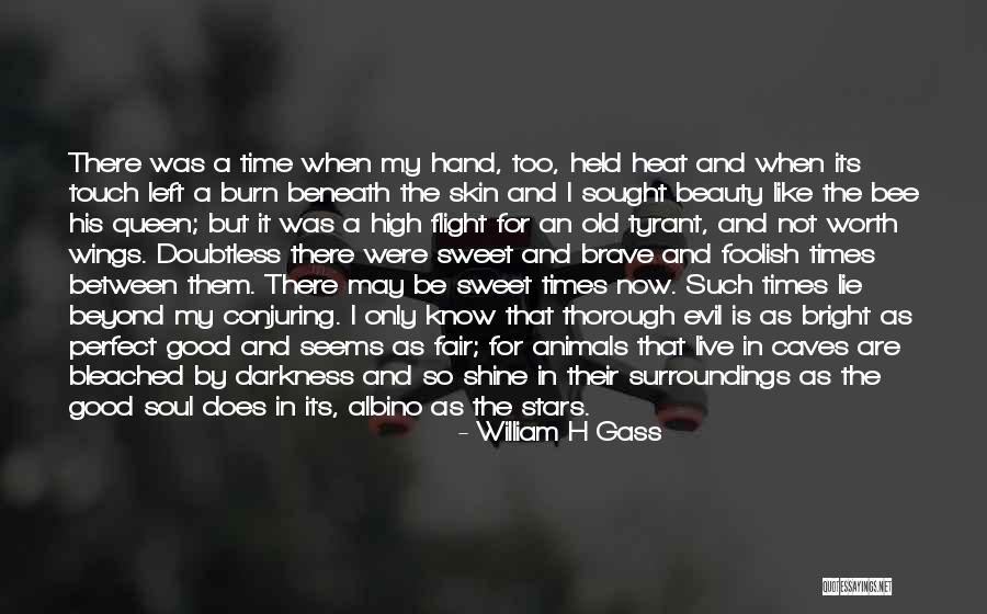 Wittnauer Ladies Quotes By William H Gass Wittnauer Ladies Quotes By William H Gass
