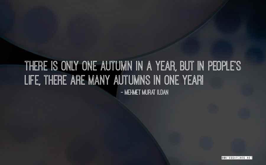 Witty Redhead Quotes By Mehmet Murat Ildan Witty Redhead Quotes By Mehmet Murat Ildan