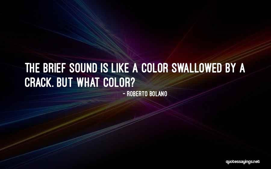 Witty Sailing Quotes By Roberto Bolano Witty Sailing Quotes By Roberto Bolano