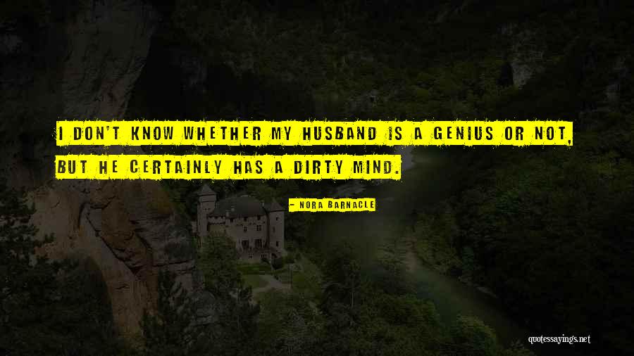 Witty Whiskey Quotes By Nora Barnacle Witty Whiskey Quotes By Nora Barnacle