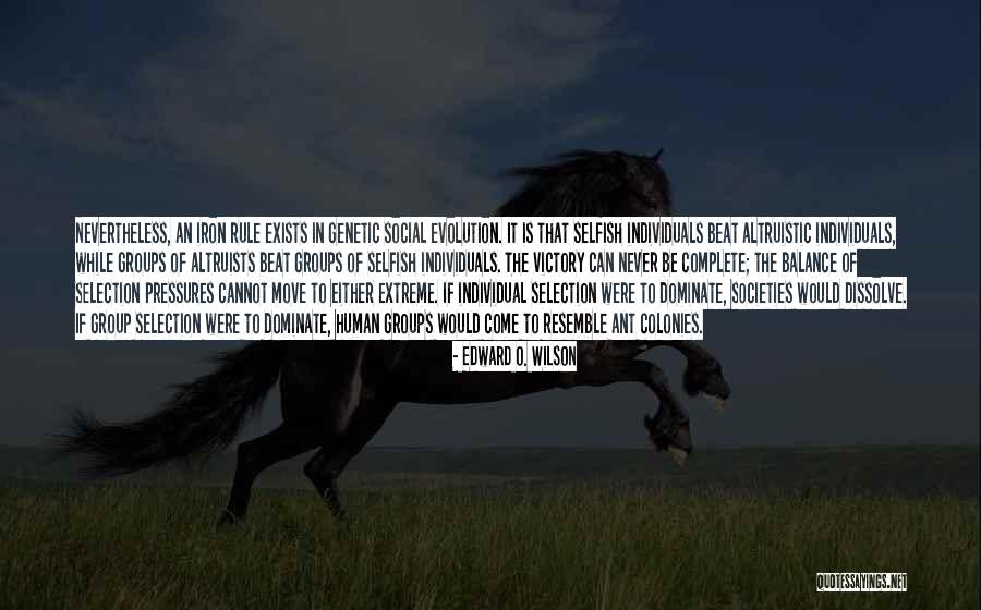 Witucki Emma Quotes By Edward O. Wilson Witucki Emma Quotes By Edward O. Wilson
