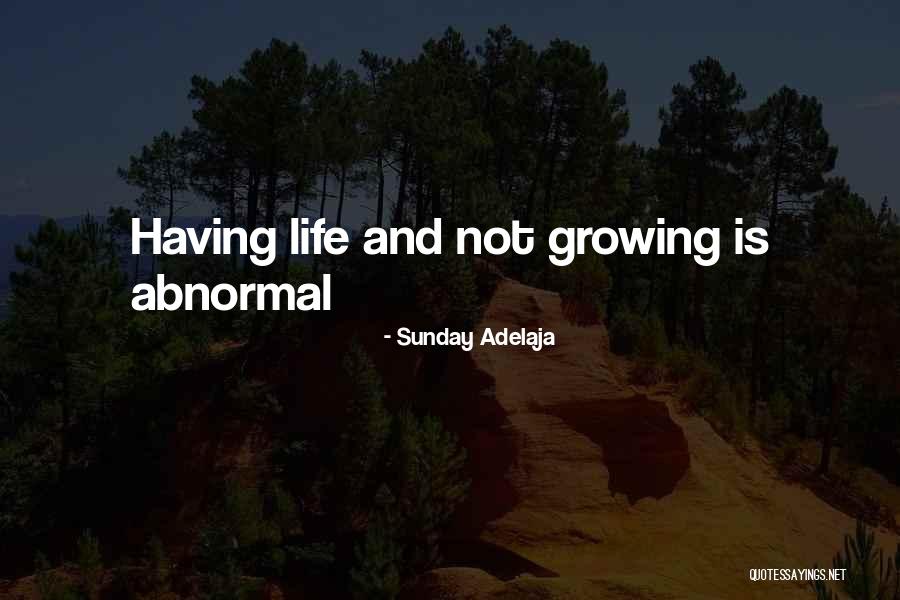 Witwer Quotes By Sunday Adelaja Witwer Quotes By Sunday Adelaja