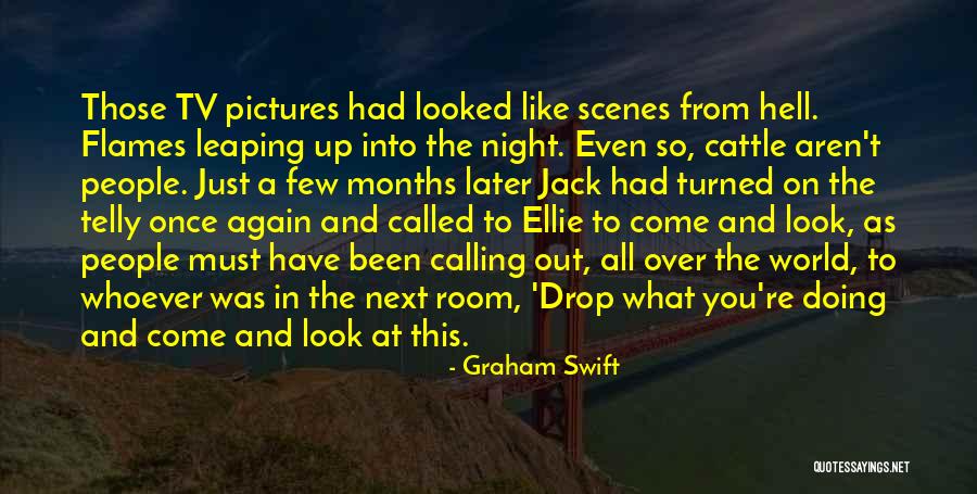 Witzenberg Besproeiing Quotes By Graham Swift Witzenberg Besproeiing Quotes By Graham Swift