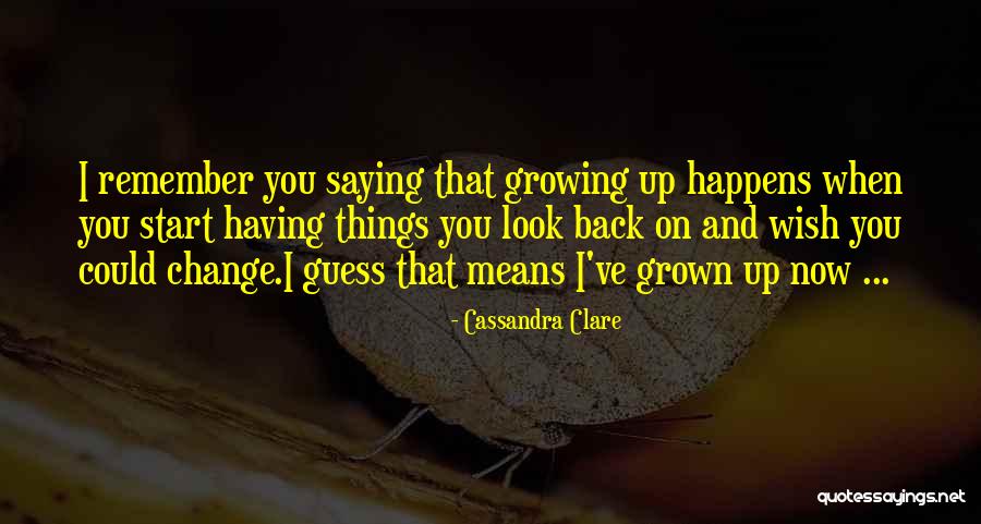 Wiz Evilene Quotes By Cassandra Clare Wiz Evilene Quotes By Cassandra Clare