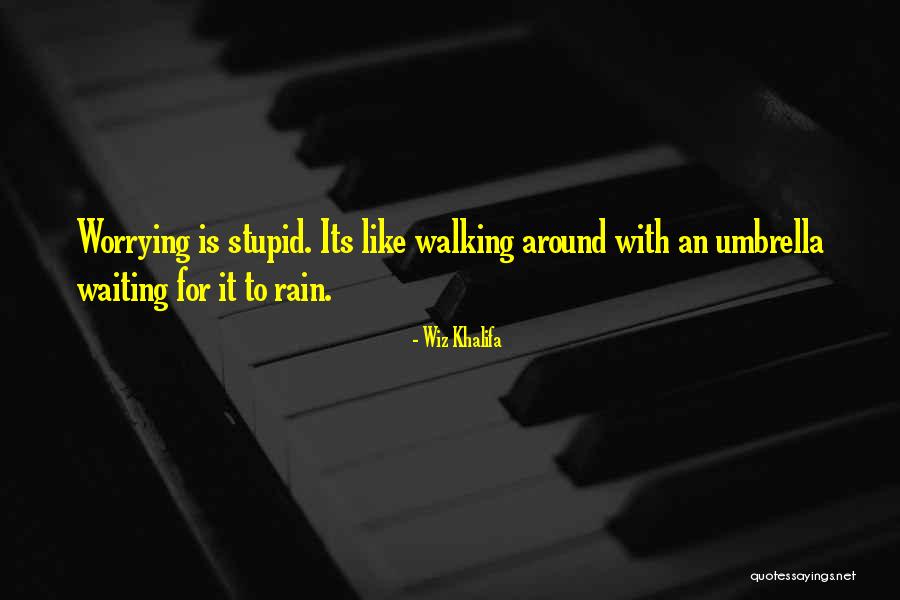Wiz Khalifa We Own It Quotes By Wiz Khalifa