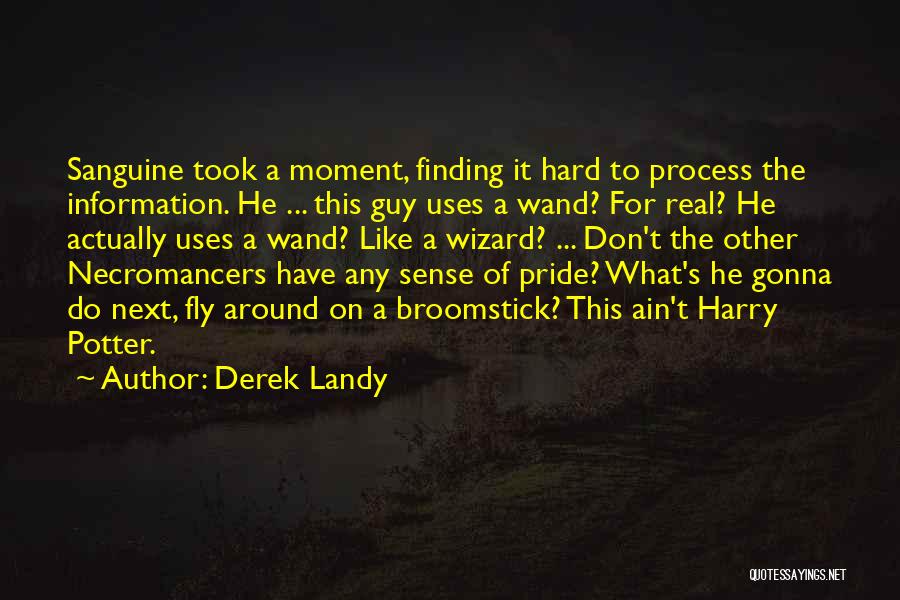 Wizard Wand Quotes By Derek Landy