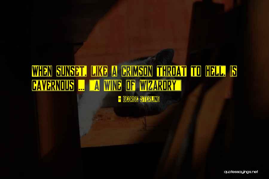 Wizardry 6 Quotes By George Sterling Wizardry 6 Quotes By George Sterling