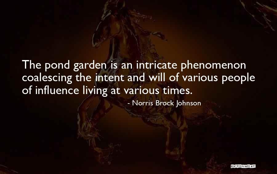 Wizzair Quotes By Norris Brock Johnson Wizzair Quotes By Norris Brock Johnson