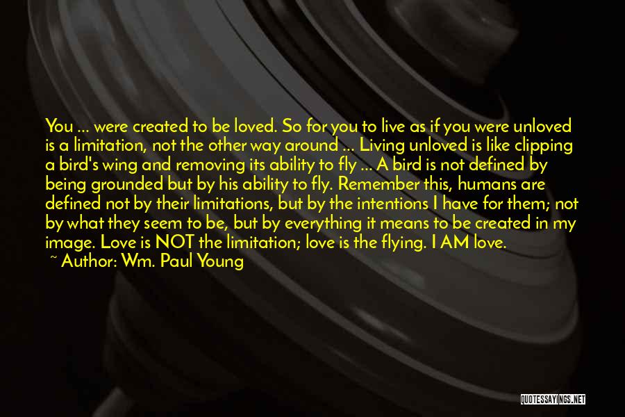 Wm. Paul Young Quotes 1281399