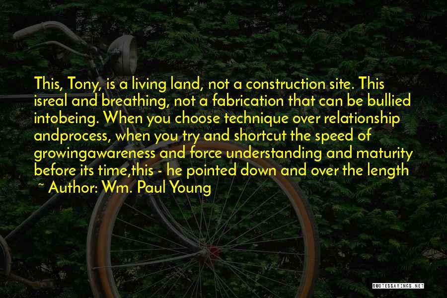 Wm. Paul Young Quotes 1821687