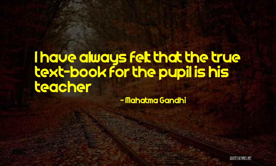 Wmgs Members Quotes By Mahatma Gandhi