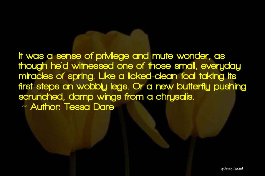 Wobbly Quotes By Tessa Dare