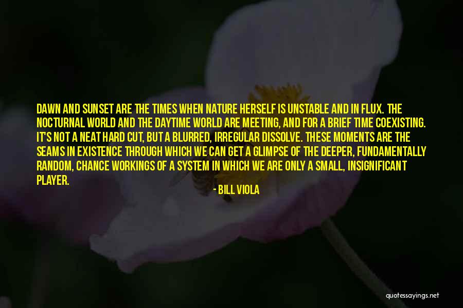 Wodak Canada Quotes By Bill Viola Wodak Canada Quotes By Bill Viola