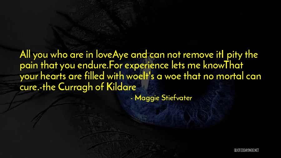 Woe Love Quotes By Maggie Stiefvater Woe Love Quotes By Maggie Stiefvater