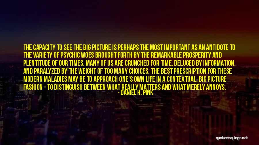 Woes Of Life Quotes By Daniel H. Pink Woes Of Life Quotes By Daniel H. Pink