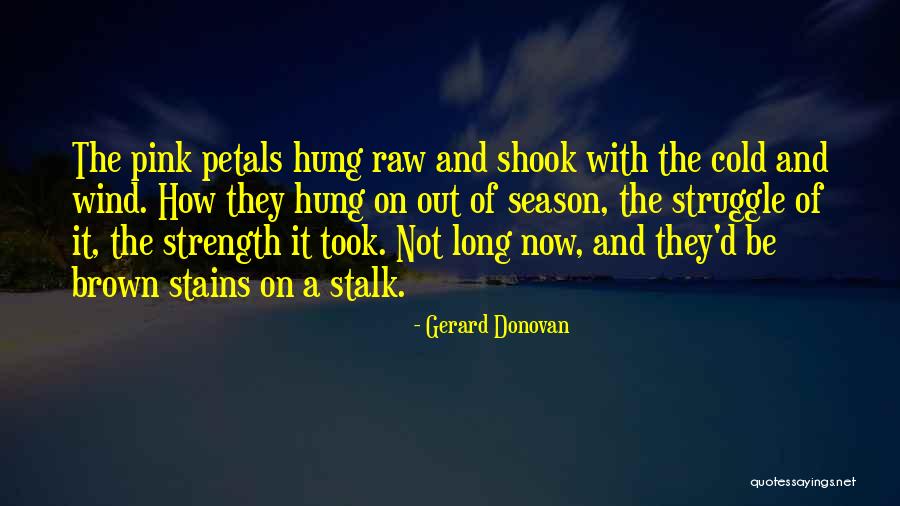 Wogayehu Nigatu Quotes By Gerard Donovan Wogayehu Nigatu Quotes By Gerard Donovan