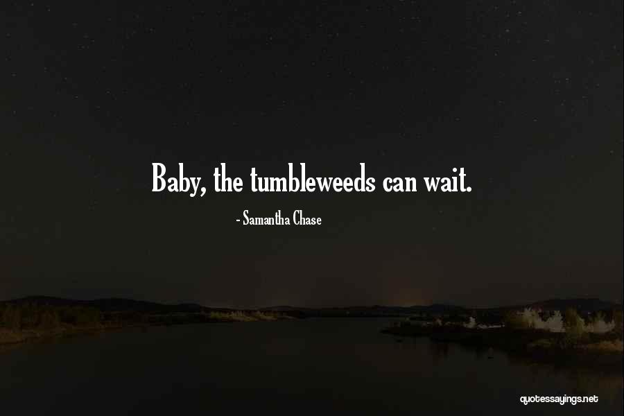 Wohlstetter Delicate Quotes By Samantha Chase Wohlstetter Delicate Quotes By Samantha Chase