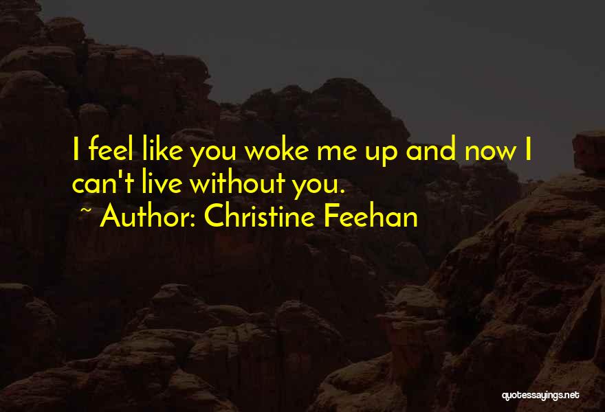 Woke Me Up Quotes By Christine Feehan