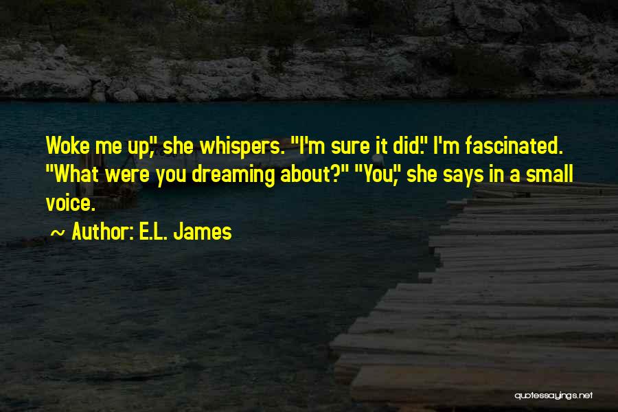 Woke Up Dreaming Of You Quotes By E.L. James