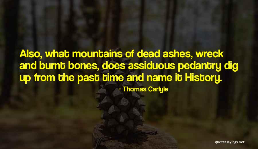 Wolanski Streaker Quotes By Thomas Carlyle Wolanski Streaker Quotes By Thomas Carlyle