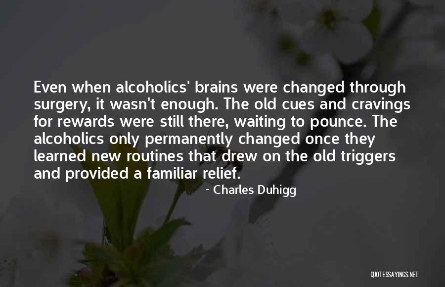 Wolansky Bennett Quotes By Charles Duhigg Wolansky Bennett Quotes By Charles Duhigg
