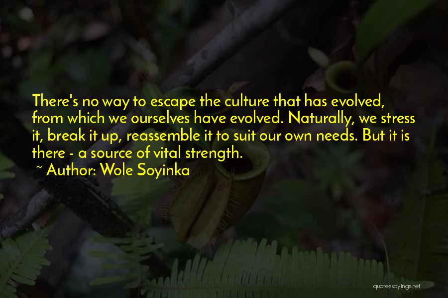 Wole Soyinka Quotes 82519