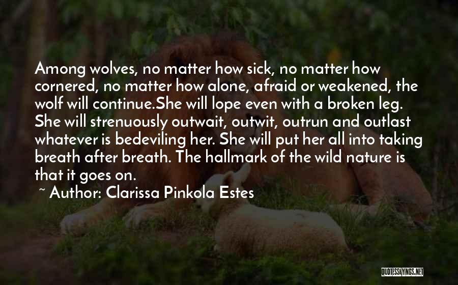 Wolf Among Us Quotes By Clarissa Pinkola Estes